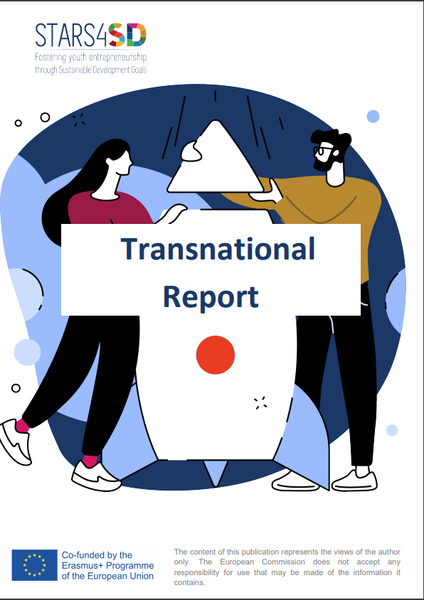 transnational_report